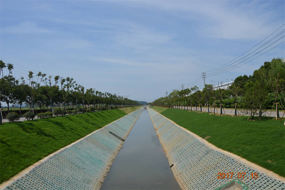 胜利河西京沟断面水质提升